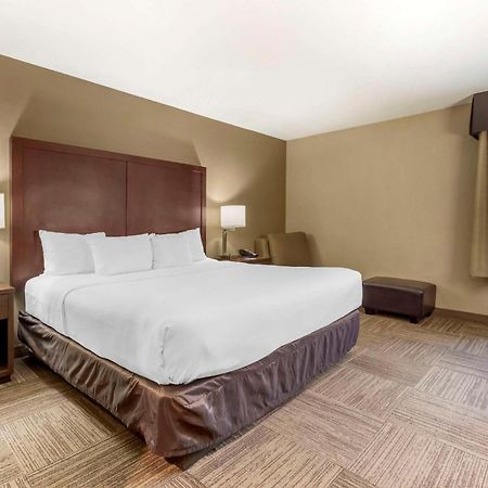 Comfort Inn & Suites Sea-Tac Airport Ситак Экстерьер фото
