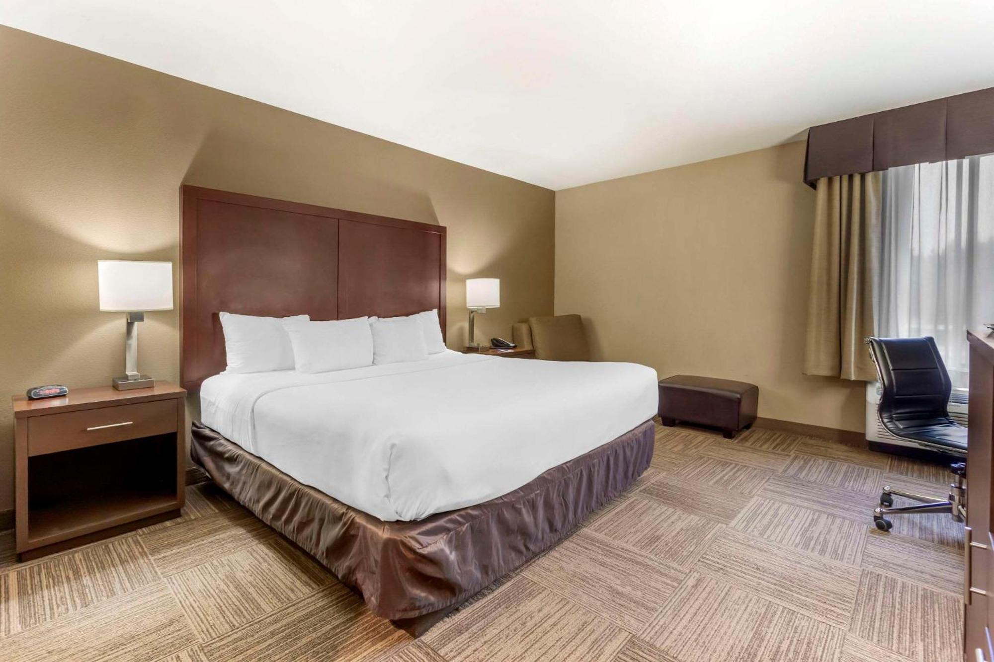 Comfort Inn & Suites Sea-Tac Airport Ситак Экстерьер фото