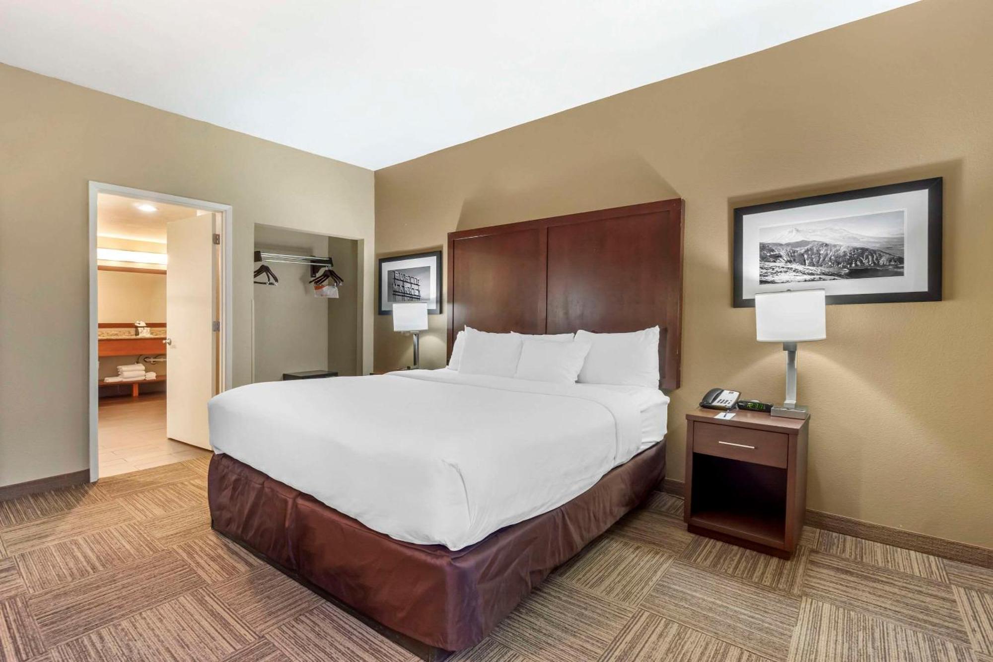 Comfort Inn & Suites Sea-Tac Airport Ситак Экстерьер фото